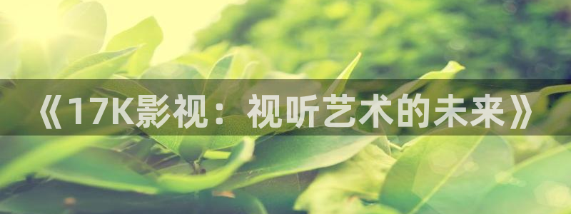 6080新视觉理论