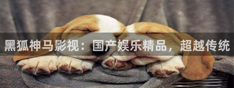6080新视觉电影怎么免费看