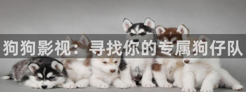6080yy新视觉影院伦理
