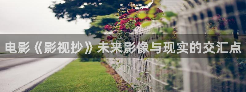 y y 6080新视觉手机版