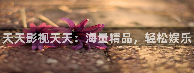 6080新视觉电影影院