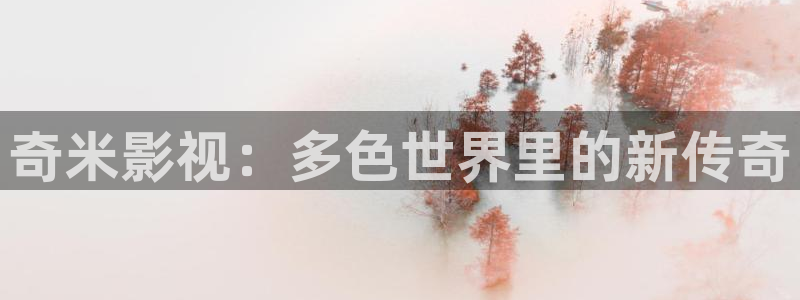 新视觉6080三级